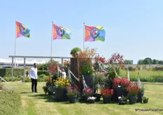 Buiten ook presentaties bij Royal Van Zanten, op de foto variatieten of Marathon Plants.